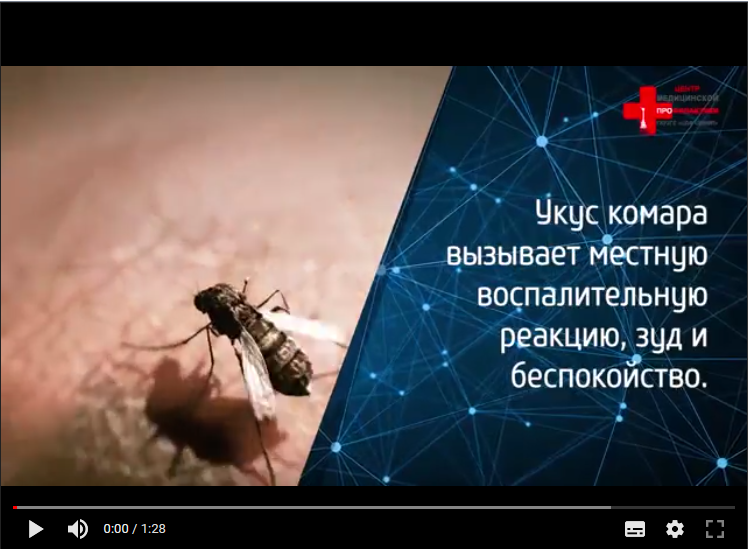 «Насекомые» Помощь при укусах насекомых 