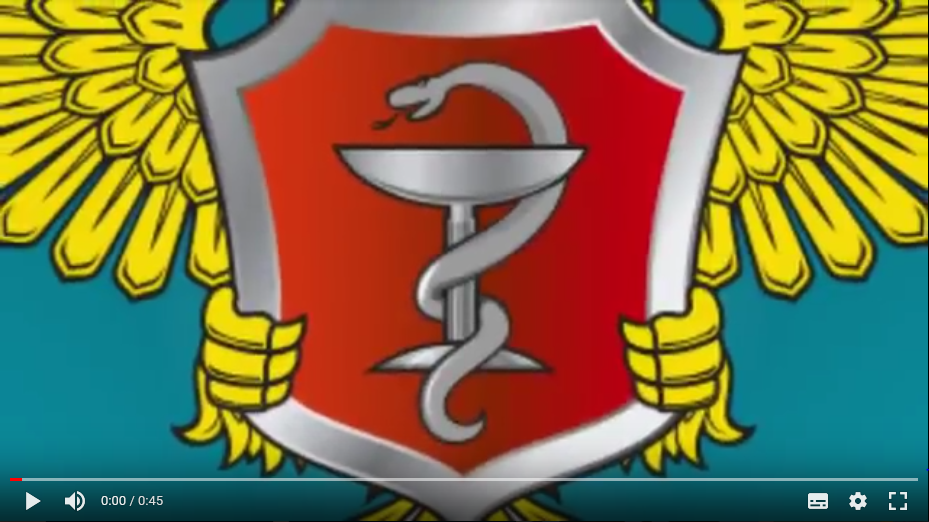 «Сроки оказания медицинской помощи» 