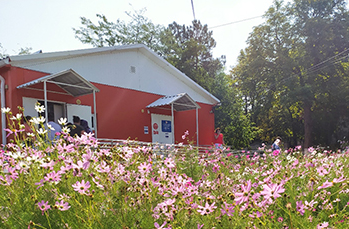 Краудсорсинг: 13 ноября начался новый проект "Модернизация первичного звена"